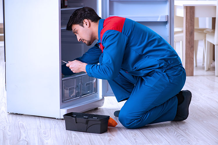 Fridge Repair as-rao-nagar